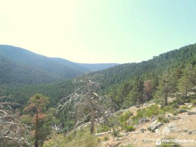 Colada de la Fuenfría - Garganta del Arroyo de Minguete;rutas senderismo altube cervera de buitrago 